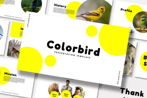 Color Bird: A Modern Template for Visual Storytelling